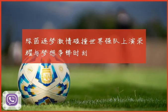 绿茵逐梦激情碰撞世界强队上演荣耀与梦想争锋时刻