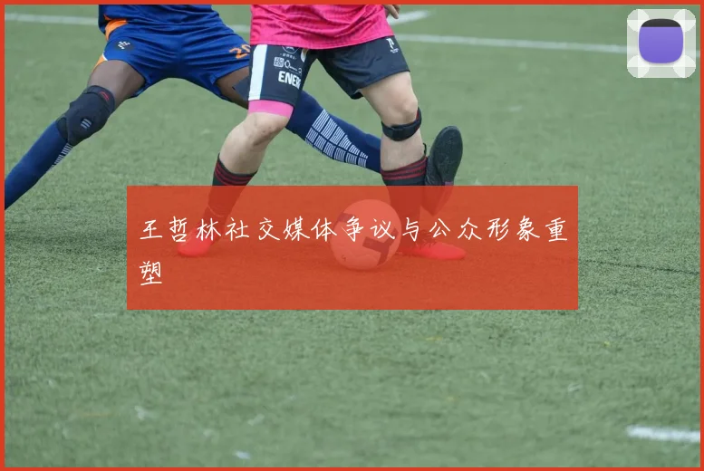 王哲林社交媒体争议与公众形象重塑