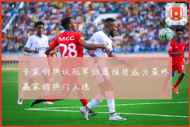 专家们热议冠军归属谁将成为最终赢家的热门人选