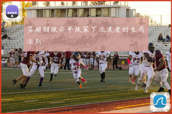 苏超财政公平政策下流浪者的生存法则